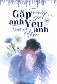 Gặp Anh Trong Gió, Yêu Anh Trong Đêm